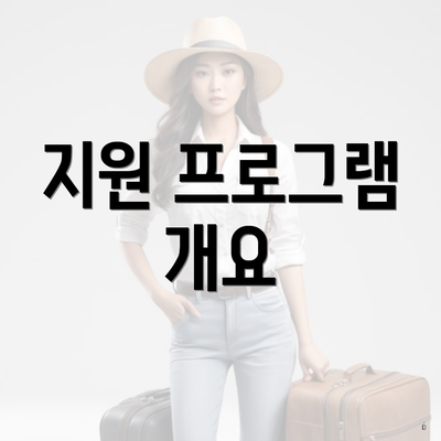 지원 프로그램 개요