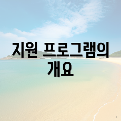 지원 프로그램의 개요