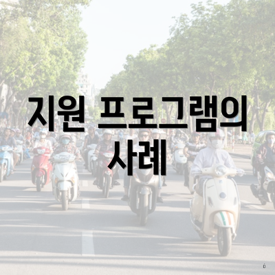 지원 프로그램의 사례
