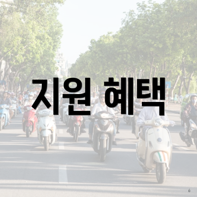 지원 혜택