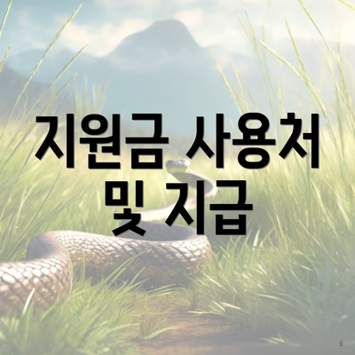 지원금 사용처 및 지급
