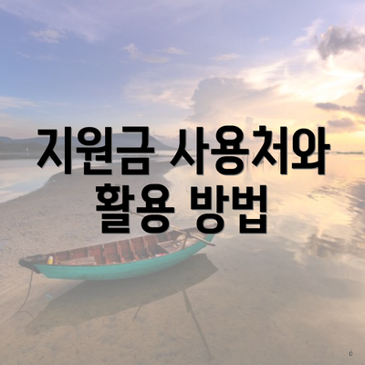 지원금 사용처와 활용 방법