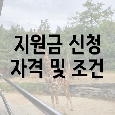 지원금 신청 자격 및 조건