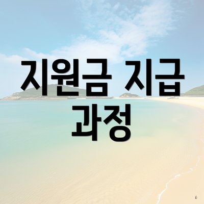 지원금 지급 과정