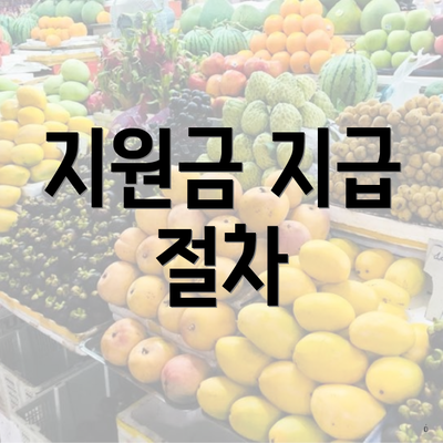 지원금 지급 절차