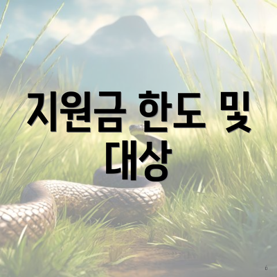 지원금 한도 및 대상