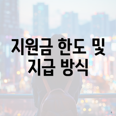 지원금 한도 및 지급 방식