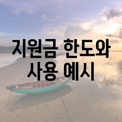 지원금 한도와 사용 예시