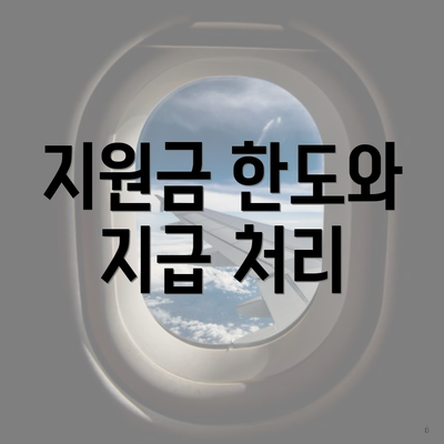 지원금 한도와 지급 처리