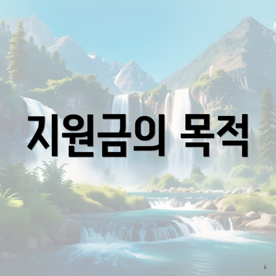지원금의 목적