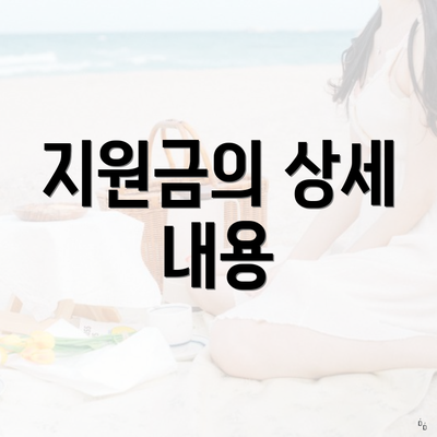 지원금의 상세 내용