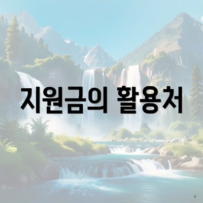 지원금의 활용처