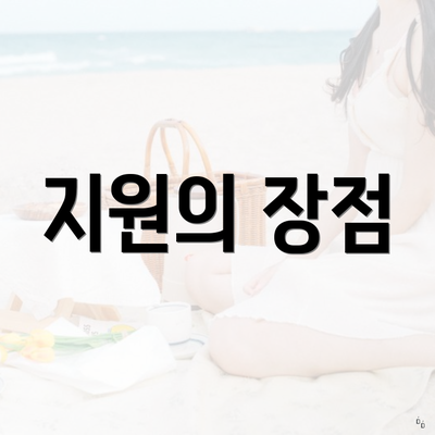 지원의 장점