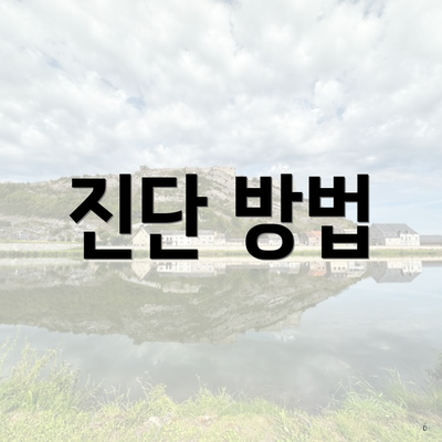 진단 방법