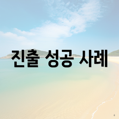 진출 성공 사례