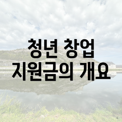 청년 창업 지원금의 개요