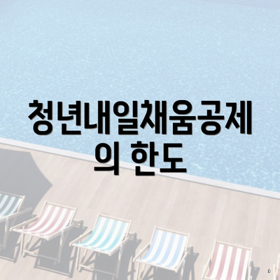 청년내일채움공제의 한도