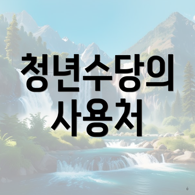 청년수당의 사용처
