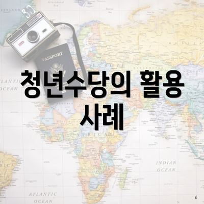 청년수당의 활용 사례