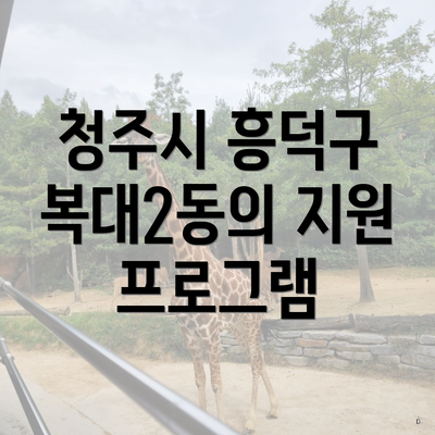 청주시 흥덕구 복대2동의 지원 프로그램