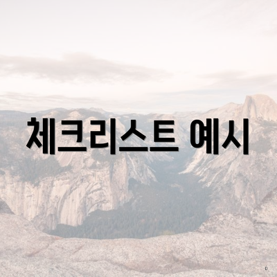 체크리스트 예시