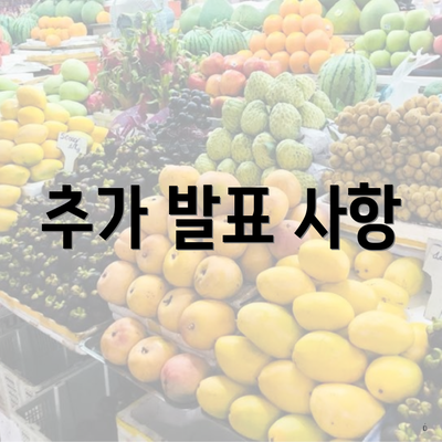 추가 발표 사항