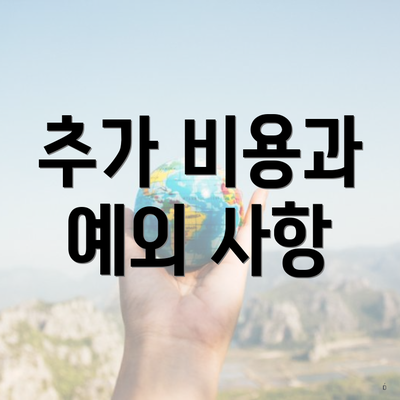 추가 비용과 예외 사항