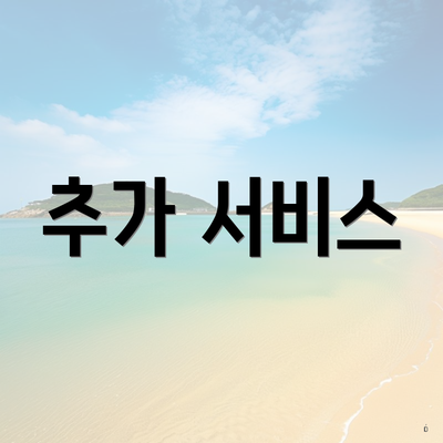 추가 서비스