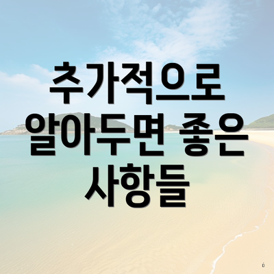 추가적으로 알아두면 좋은 사항들
