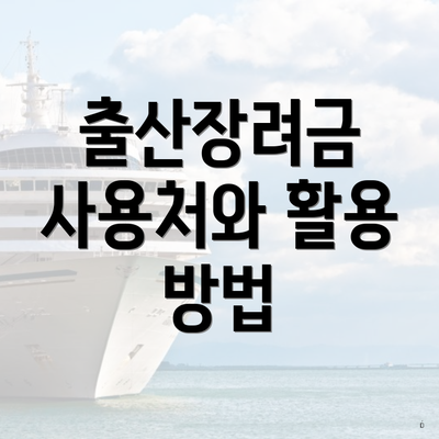 출산장려금 사용처와 활용 방법