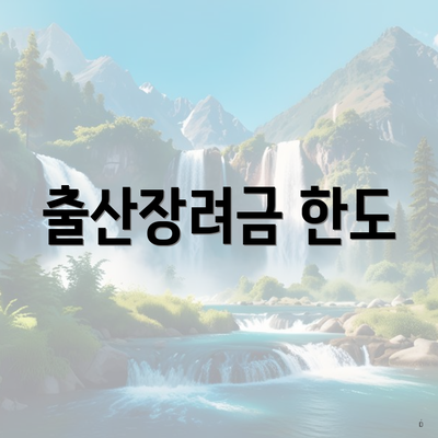 출산장려금 한도