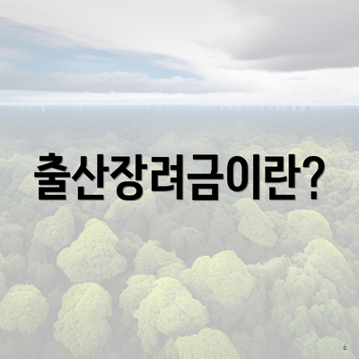 출산장려금이란?