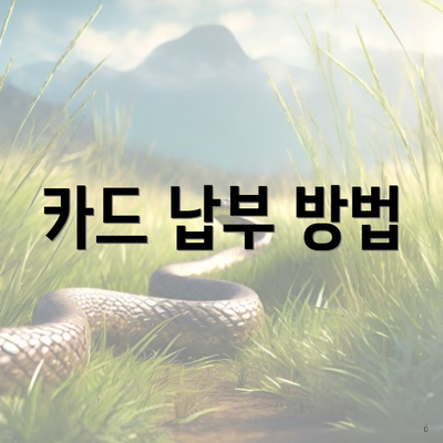 카드 납부 방법