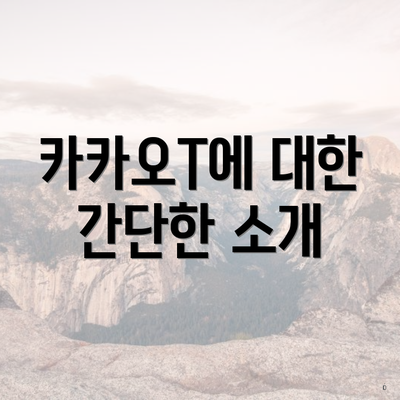 카카오T에 대한 간단한 소개