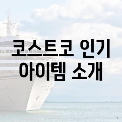 코스트코 인기 아이템 소개