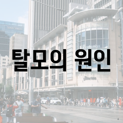 탈모의 원인