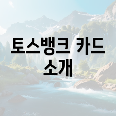 토스뱅크 카드 소개