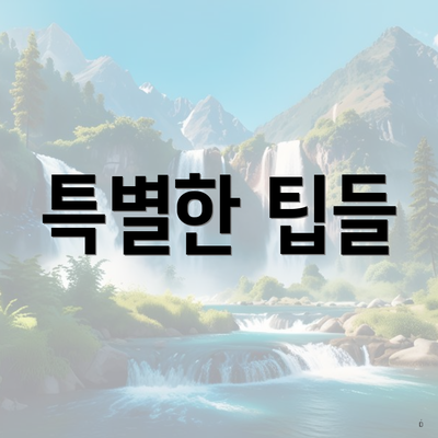 특별한 팁들