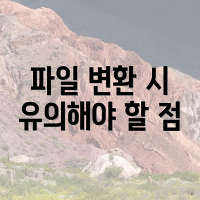 파일 변환 시 유의해야 할 점