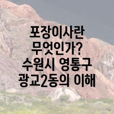 포장이사란 무엇인가? 수원시 영통구 광교2동의 이해