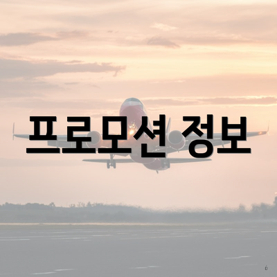 프로모션 정보