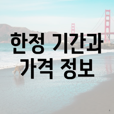 한정 기간과 가격 정보