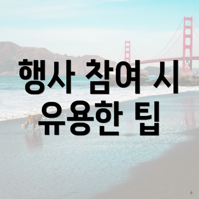 행사 참여 시 유용한 팁