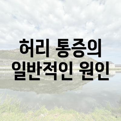 허리 통증의 일반적인 원인