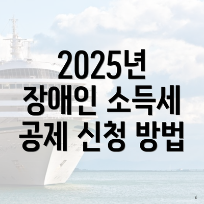 2025년 장애인 소득세 공제 신청 방법