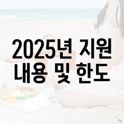 2025년 지원 내용 및 한도