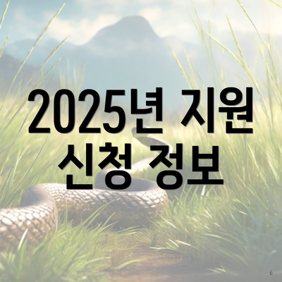 2025년 지원 신청 정보