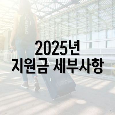 2025년 지원금 세부사항