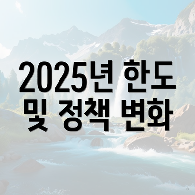 2025년 한도 및 정책 변화