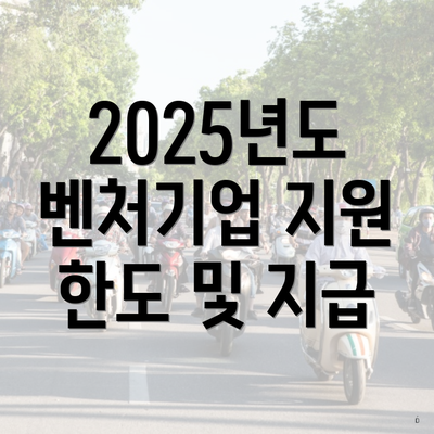 2025년도 벤처기업 지원 한도 및 지급